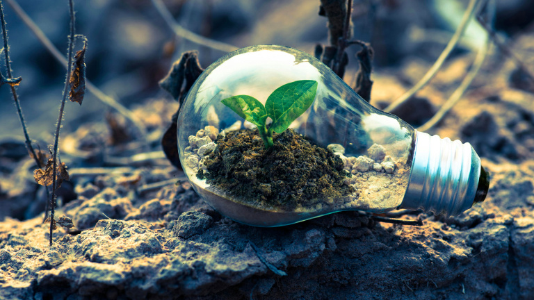 Quale futuro per un'economia sostenibile?